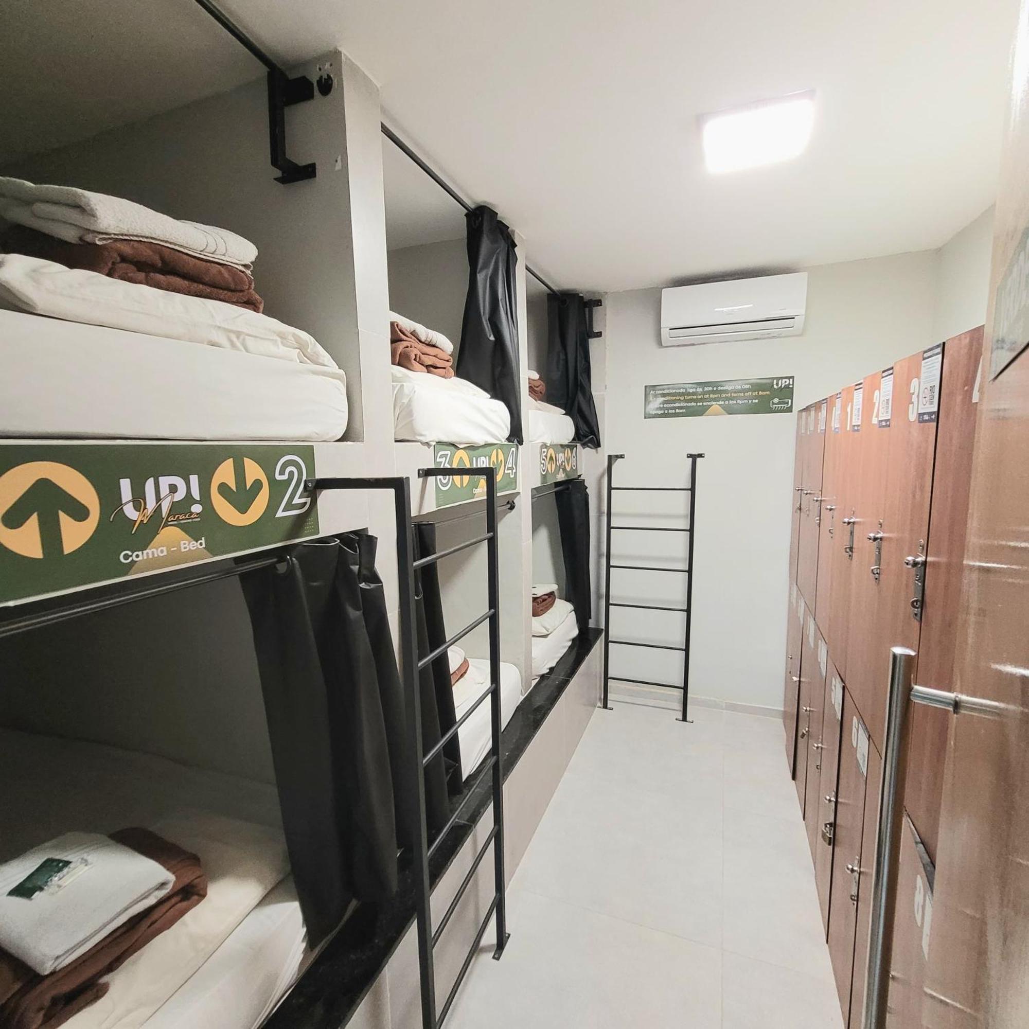 Bunk Bed Mixed Dormitory Room