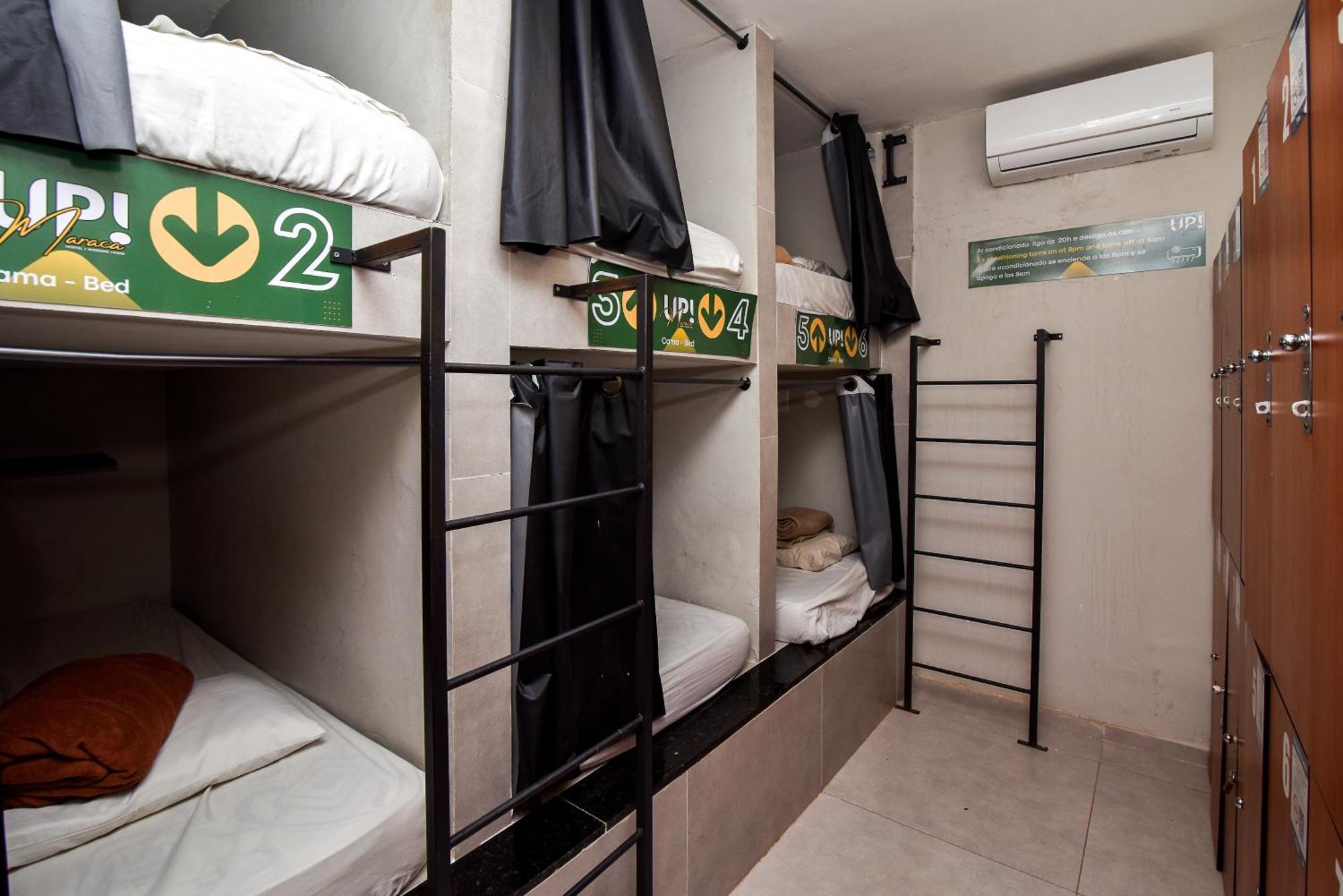 Bunk Bed Mixed Dormitory Room